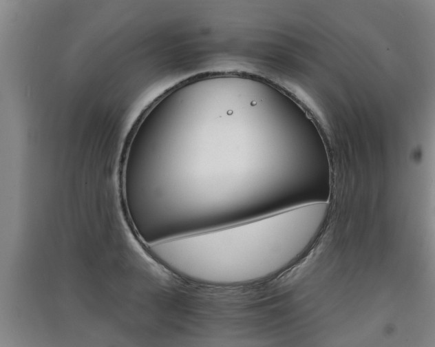 X0000091550943200708171038