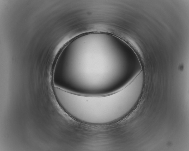 X0000091550944200708171038