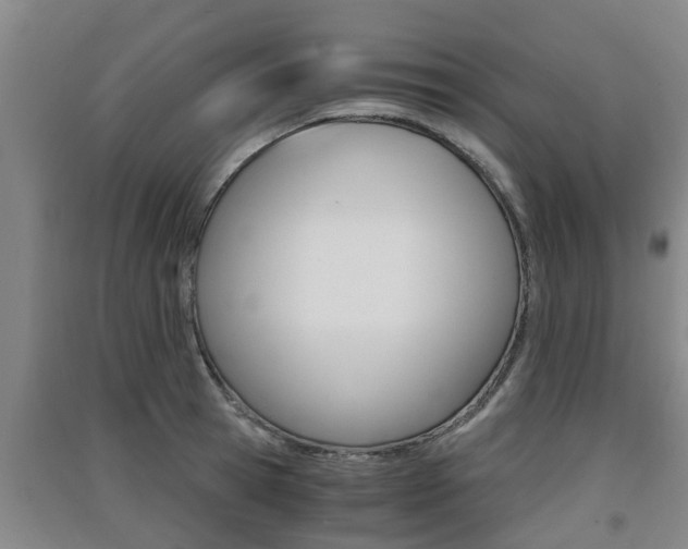 X0000091550945200708171038