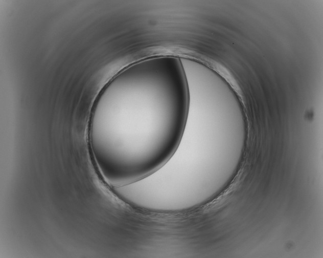 X0000091550946200708171038