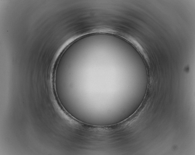 X0000091550947200708171038