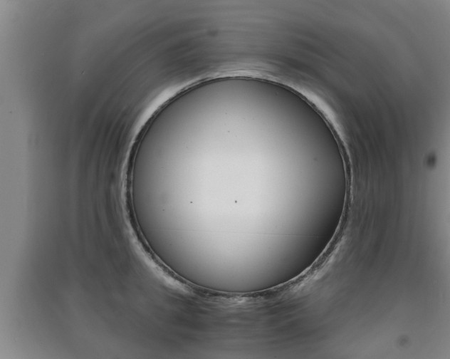 X0000091550949200708171038