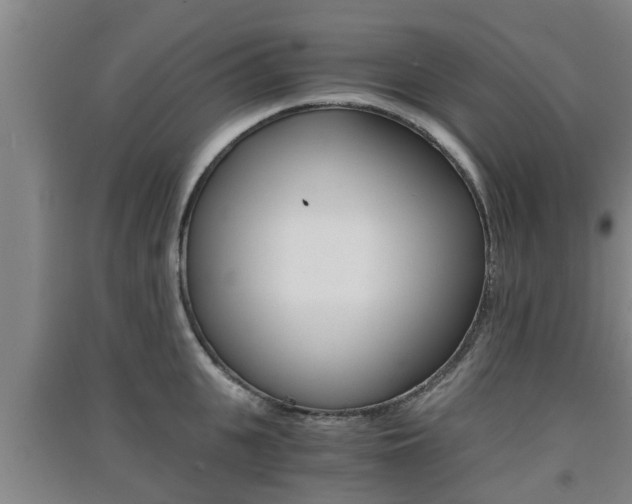 X0000091550951200708171038