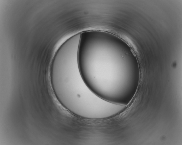 X0000091550952200708171038