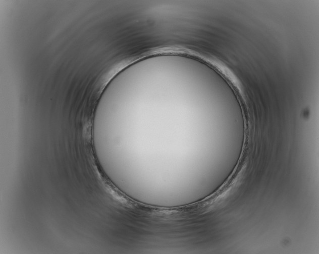 X0000091550953200708171038
