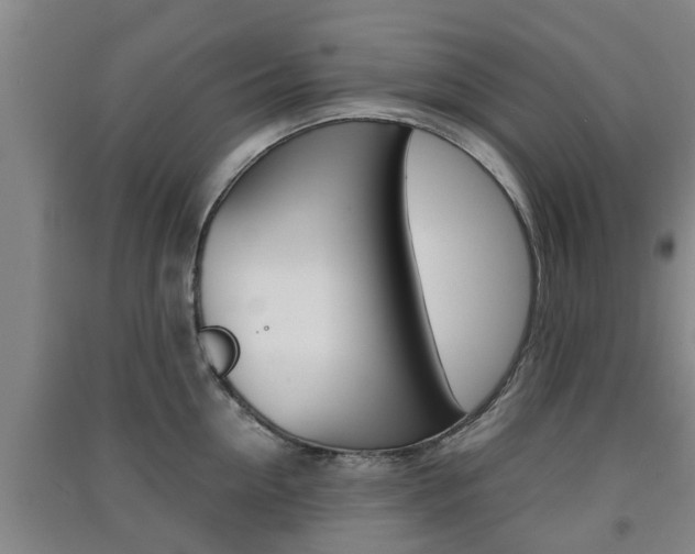 X0000091550954200708171038