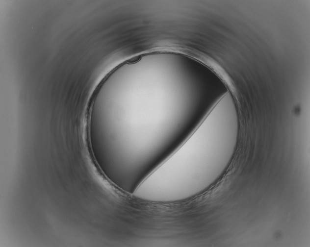 X0000091550955200708171038