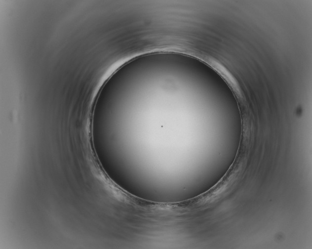 X0000091550956200708171038