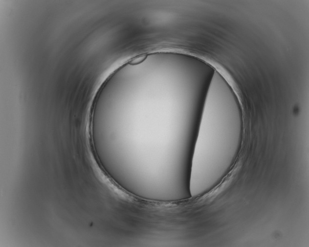 X0000091550957200708171038