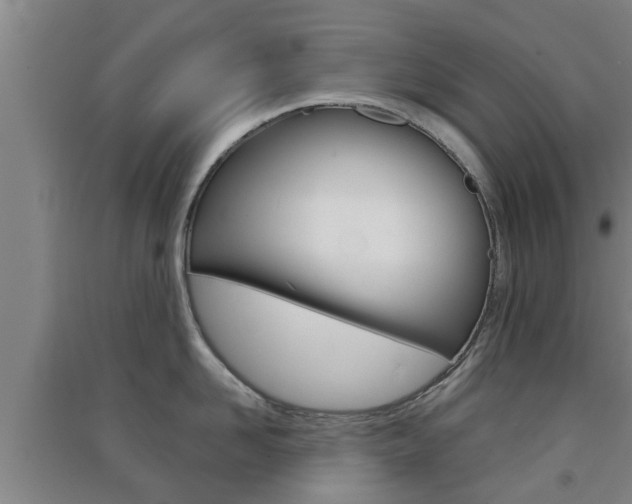 X0000091550958200708171038