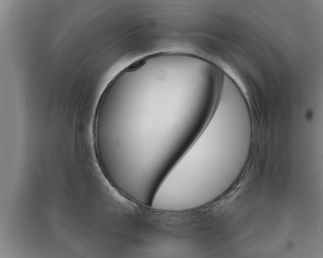 X0000091550959200708171038