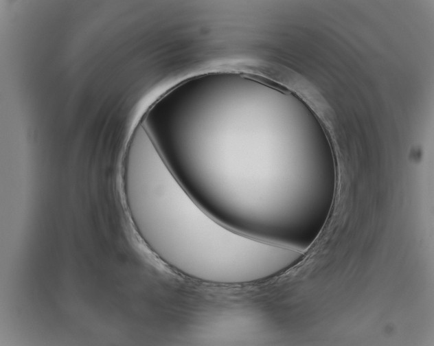 X0000091550960200708171038