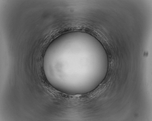 X0000091550961200708171038