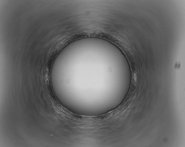 X0000091550963200708171038