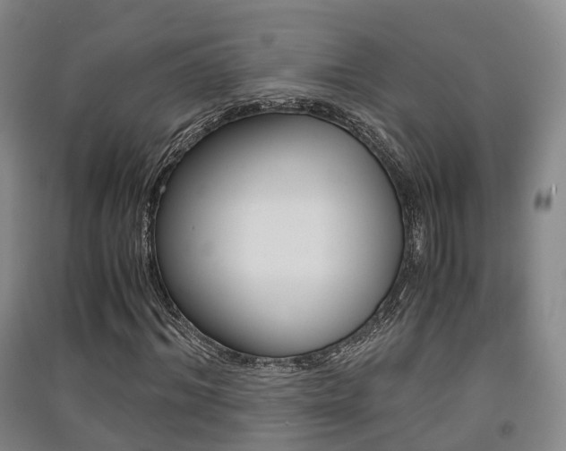 X0000091550964200708171038