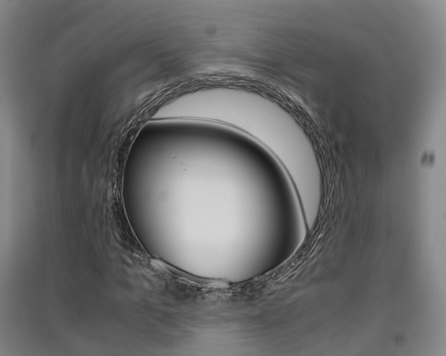 X0000091550965200708171038