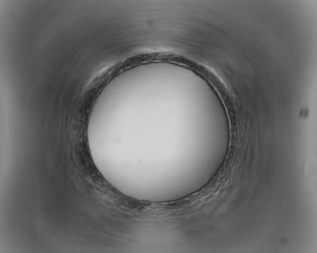 X0000091550967200708171038