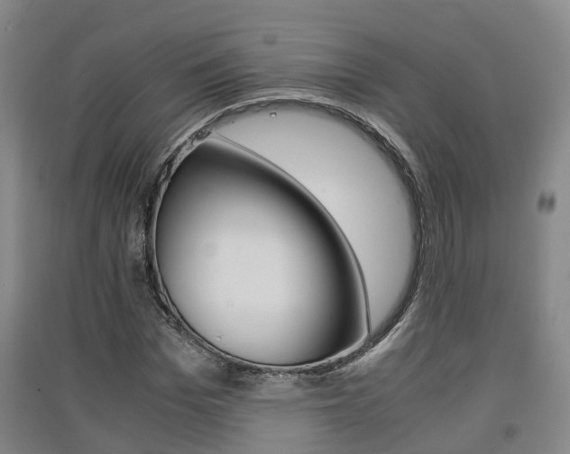 X0000091550969200708171038