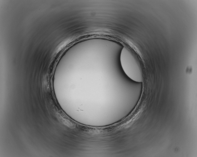 X0000091550970200708171038