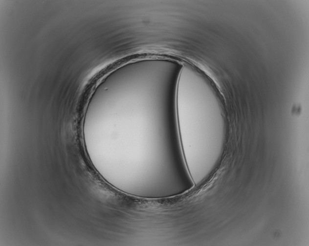 X0000091550971200708171037