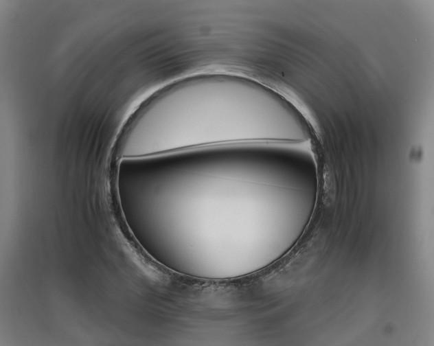 X0000091550972200708171037