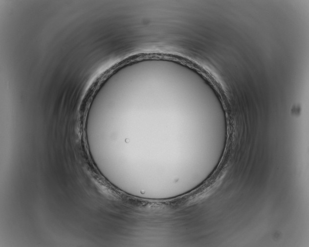 X0000091550974200708171037