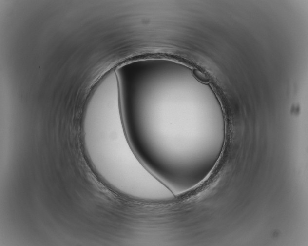 X0000091550977200708171037