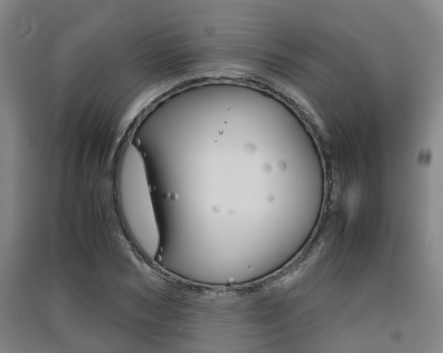 X0000091550978200708171037