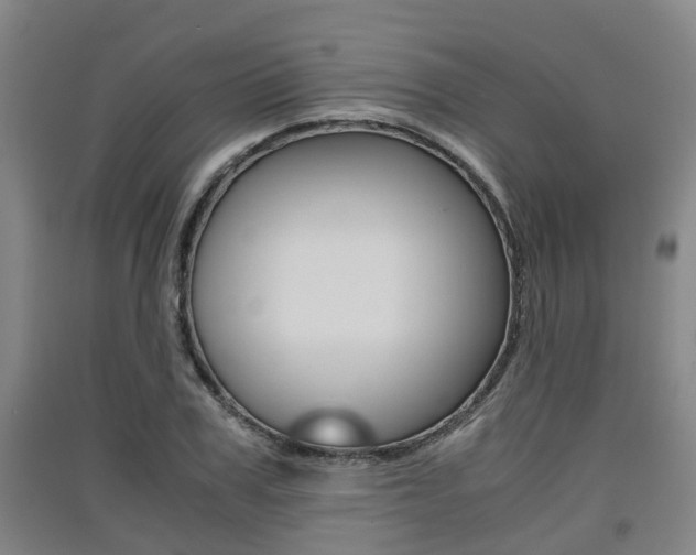 X0000091550979200708171037