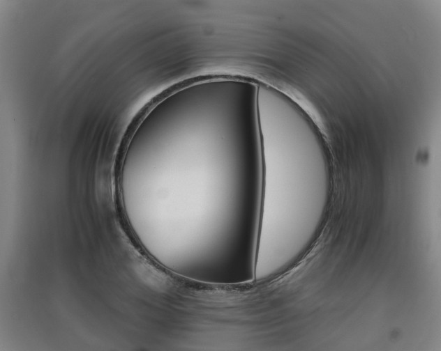 X0000091550980200708171037