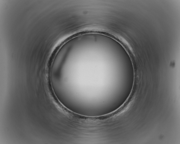X0000091550981200708171037