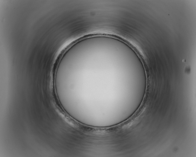 X0000091550982200708171037