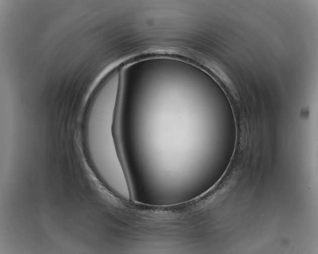 X0000091550984200708171037