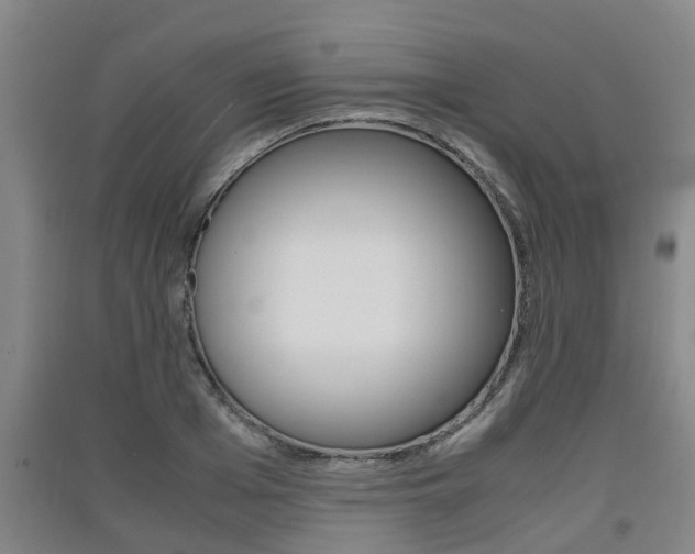 X0000091550985200708171037