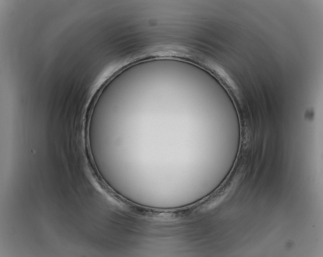 X0000091550986200708171037