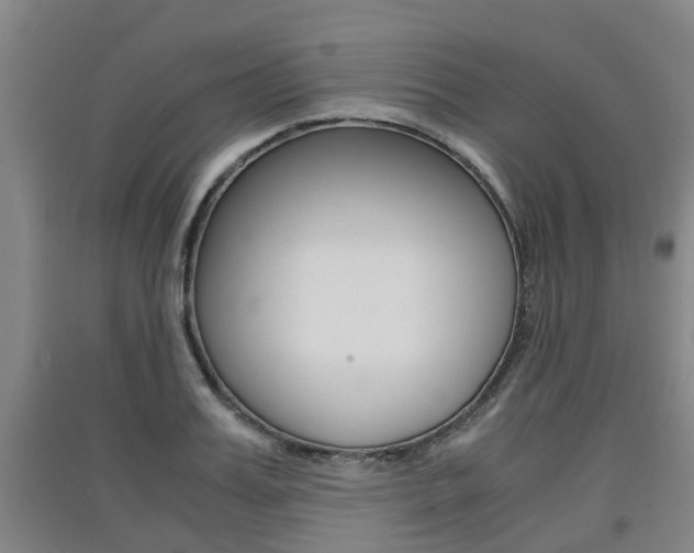 X0000091550987200708171037
