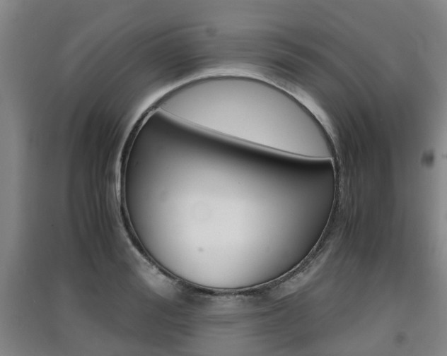 X0000091550988200708171037