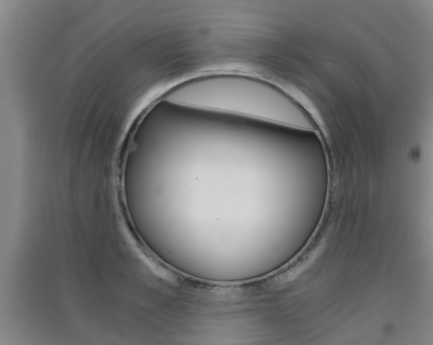 X0000091550989200708171037