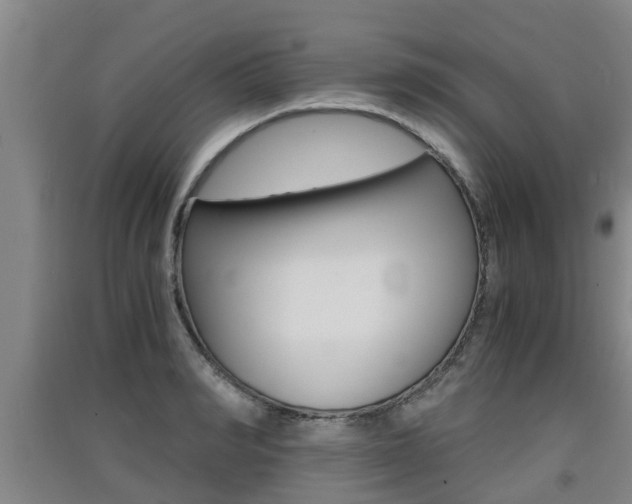 X0000091550990200708171037