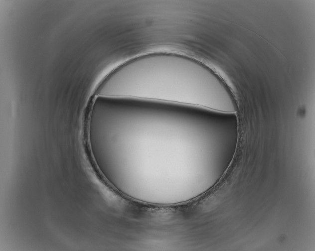 X0000091550991200708171037