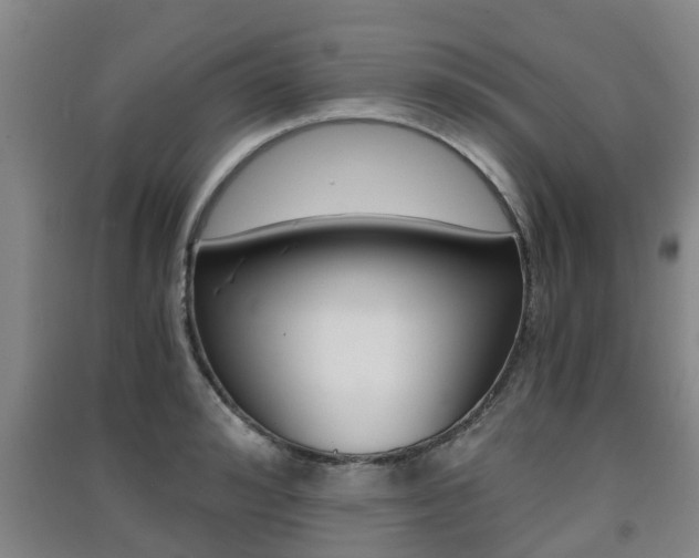 X0000091550992200708171037