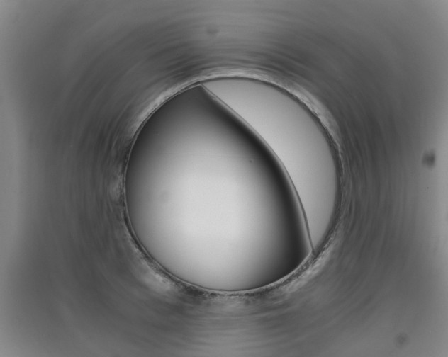 X0000091550993200708171037