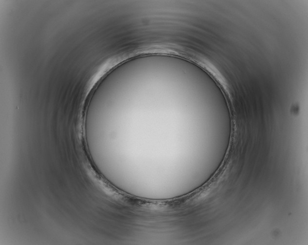 X0000091550994200708171037