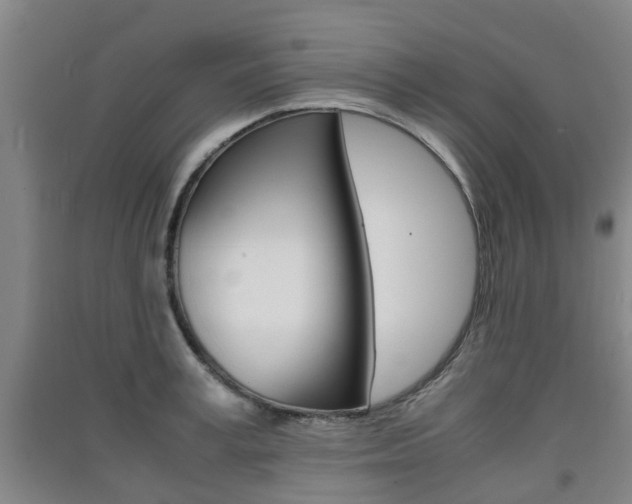 X0000091550995200708171037