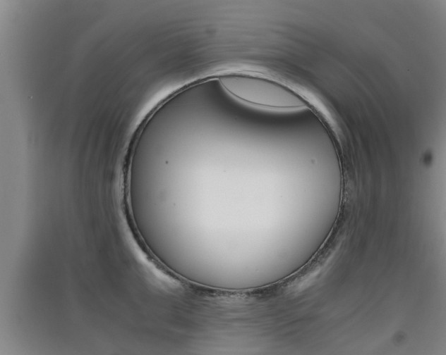 X0000091550999200708171037