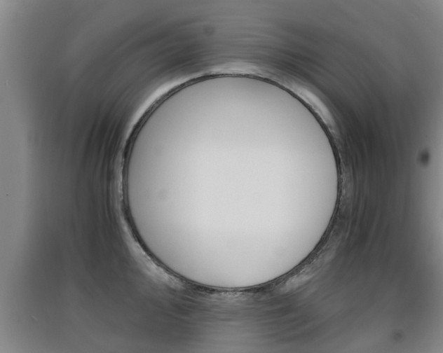 X0000091551000200708171037