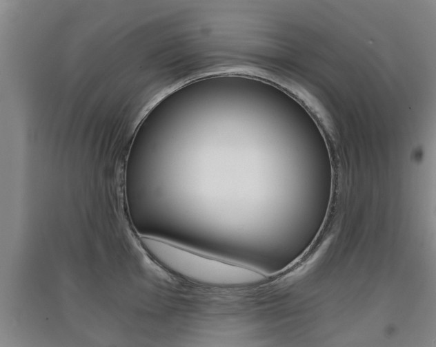 X0000091551001200708171037