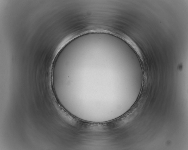 X0000091551002200708171037