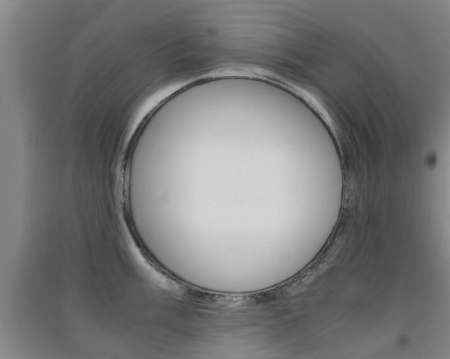 X0000091551003200708171037