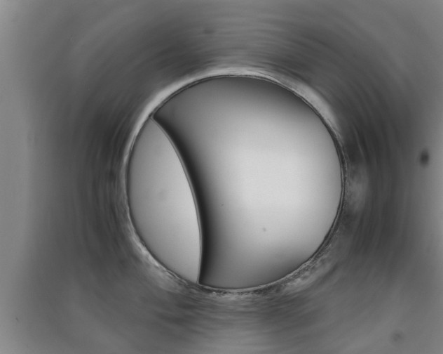 X0000091551004200708171037